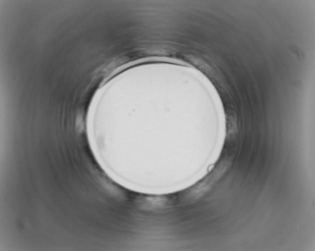 X0000113040478200910081215
