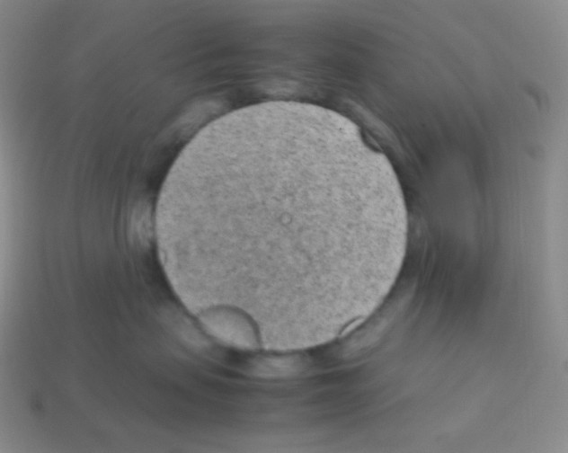 X0000113040479200910081215