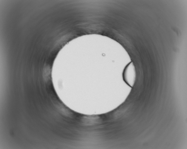 X0000113040480200910081215