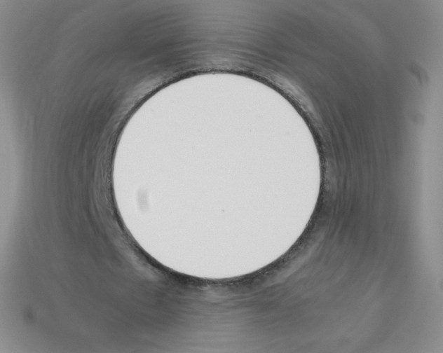 X0000113040481200910081214