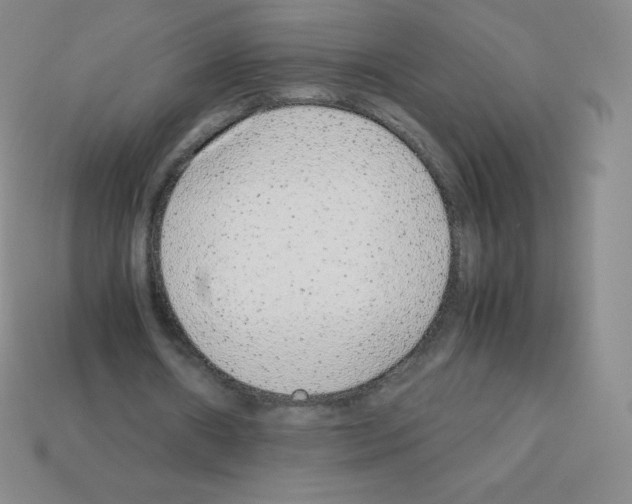 X0000113040482200910081214