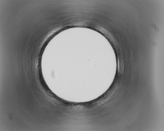 X0000113040483200910081214