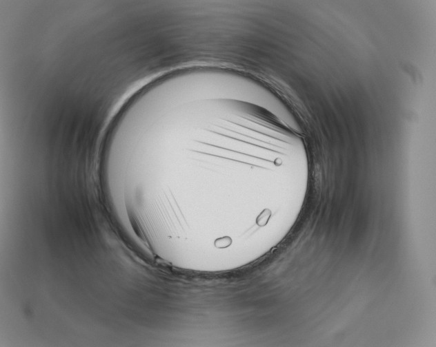 X0000113040484200910081214