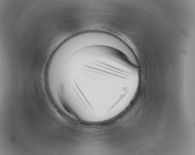 X0000113040485200910081214
