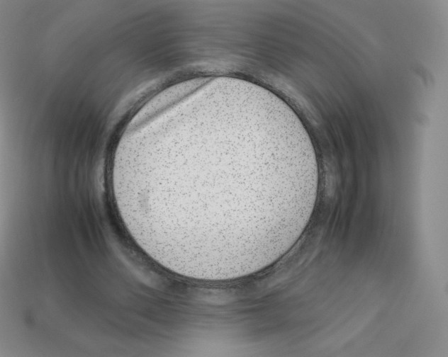 X0000113040486200910081214