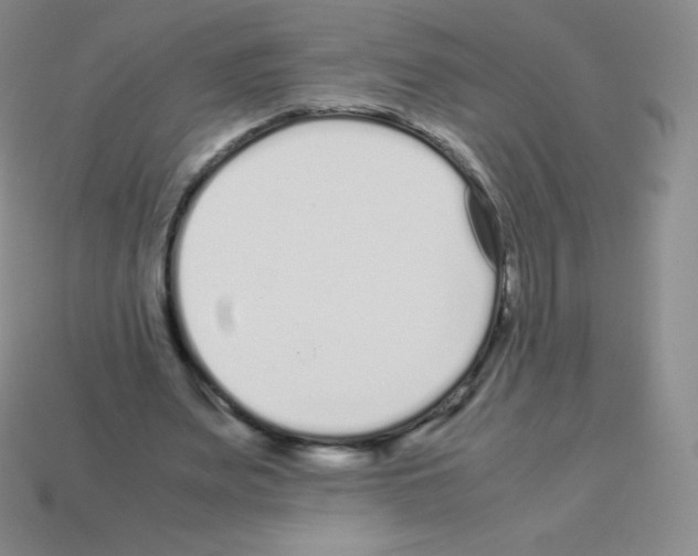 X0000113040487200910081214