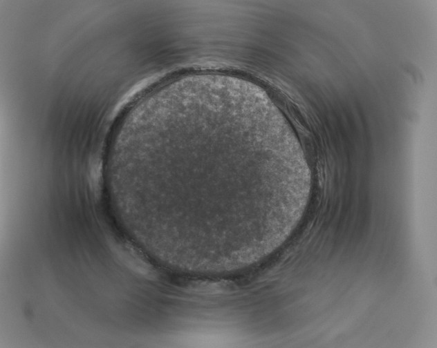 X0000113040488200910081214