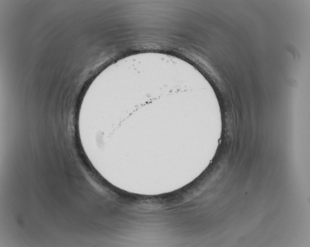 X0000113040489200910081214