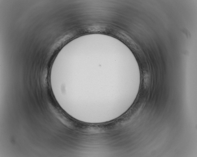X0000113040490200910081214
