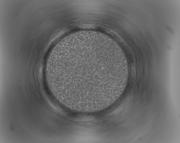X0000113040491200910081214