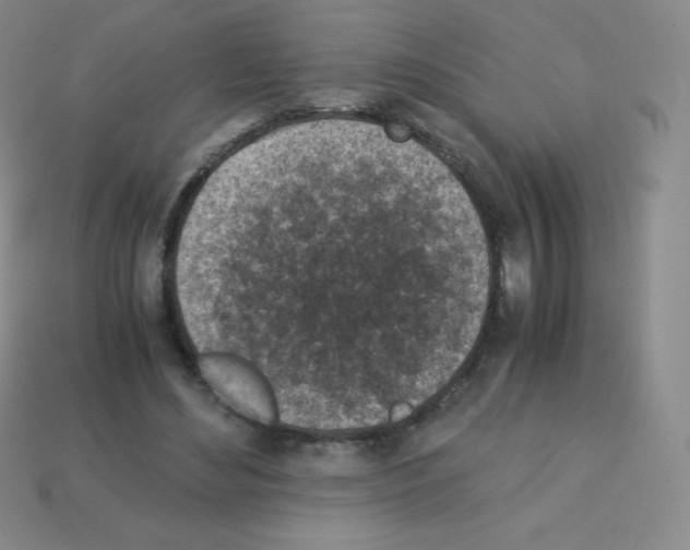 X0000113040492200910081214