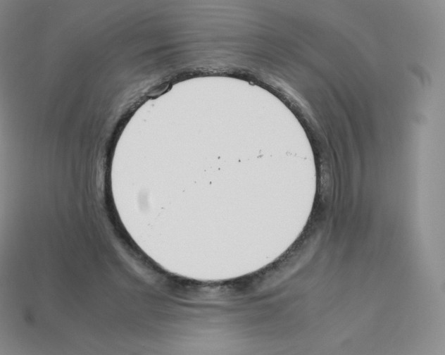 X0000113040493200910081214