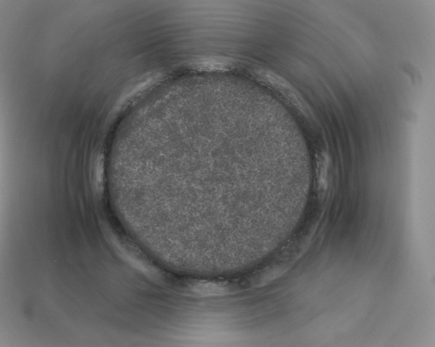 X0000113040494200910081214