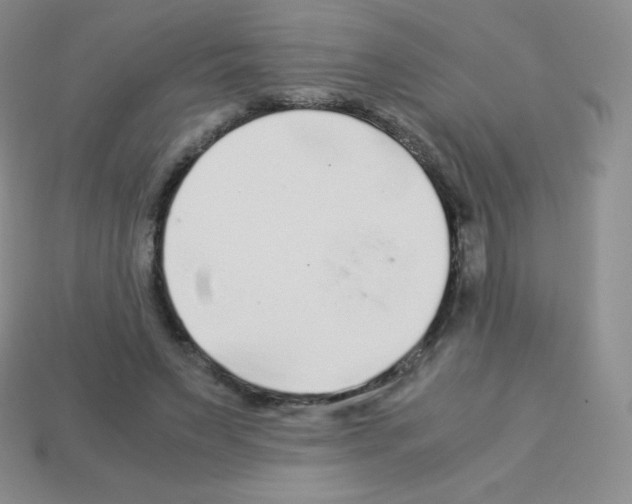 X0000113040495200910081214