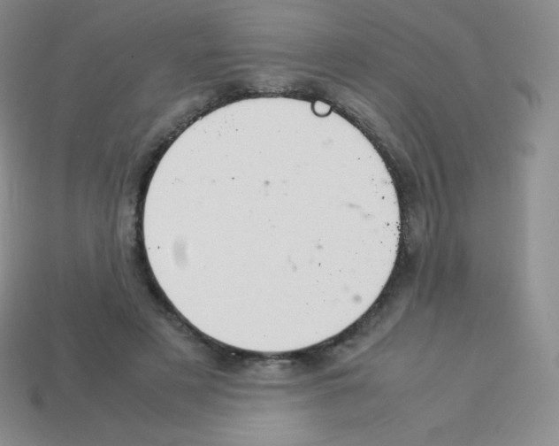 X0000113040497200910081214