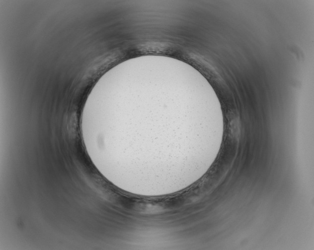 X0000113040498200910081214