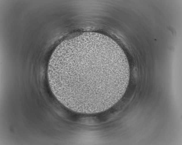 X0000113040499200910081214