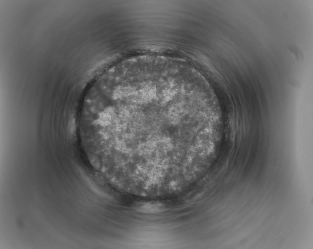 X0000113040500200910081214
