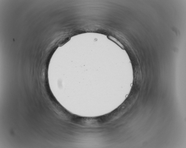 X0000113040501200910081214