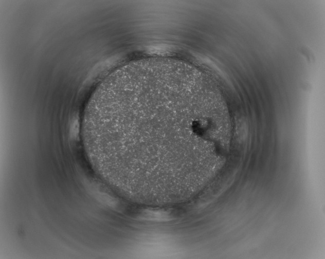 X0000113040502200910081214