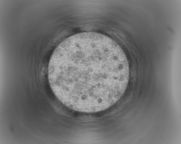 X0000113040503200910081214