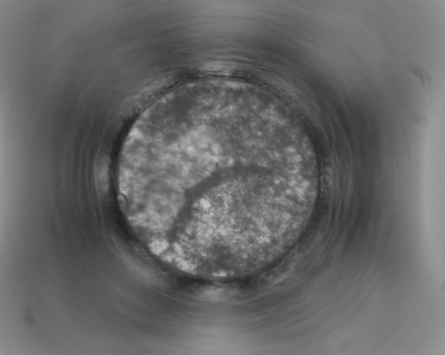 X0000113040504200910081214