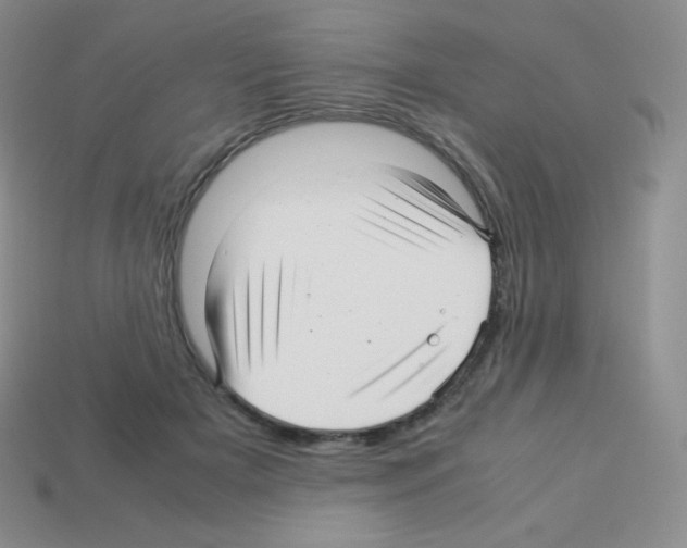 X0000113040505200910081214