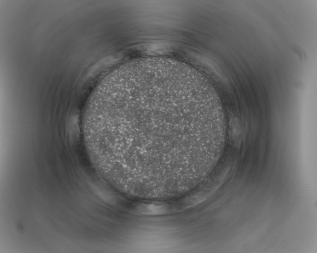 X0000113040506200910081214