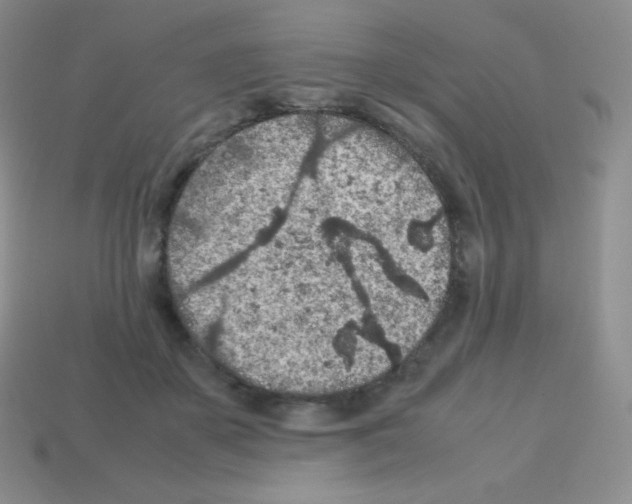 X0000113040507200910081214