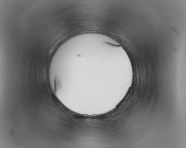 X0000113040508200910081214