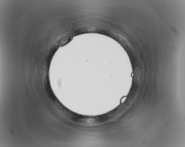 X0000113040509200910081214