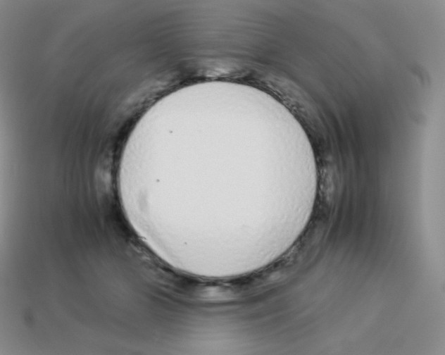 X0000113040510200910081214