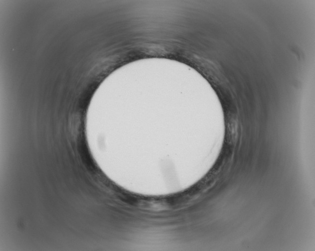 X0000113040511200910081214
