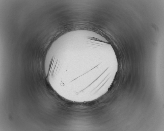 X0000113040512200910081214