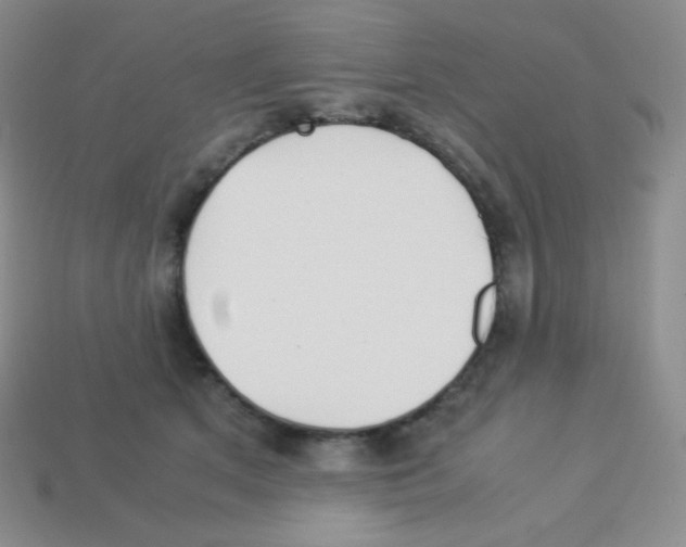 X0000113040513200910081214