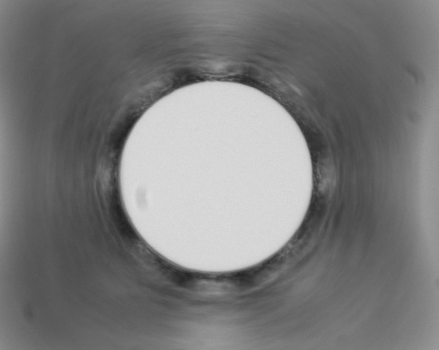 X0000113040515200910081214