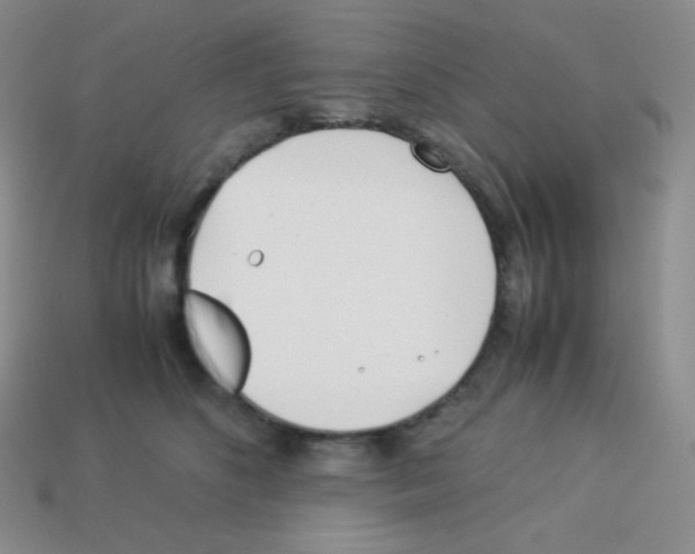 X0000113040516200910081214