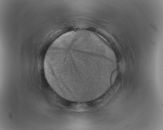 X0000113040517200910081214