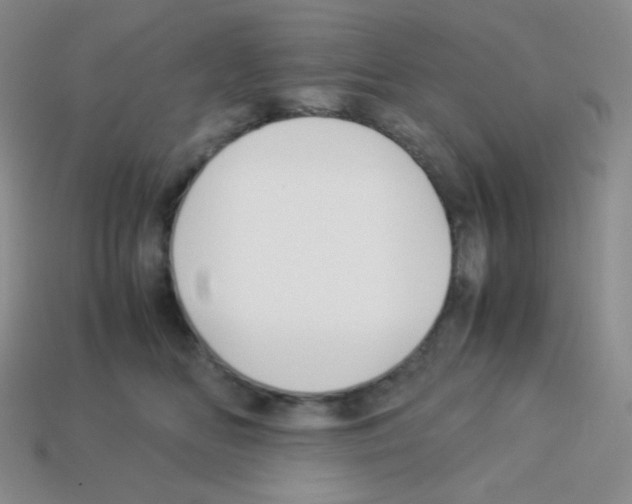 X0000113040518200910081214