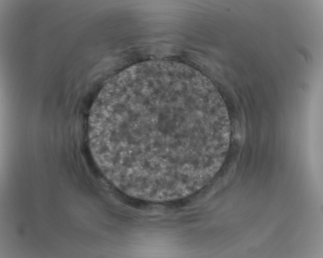 X0000113040519200910081214