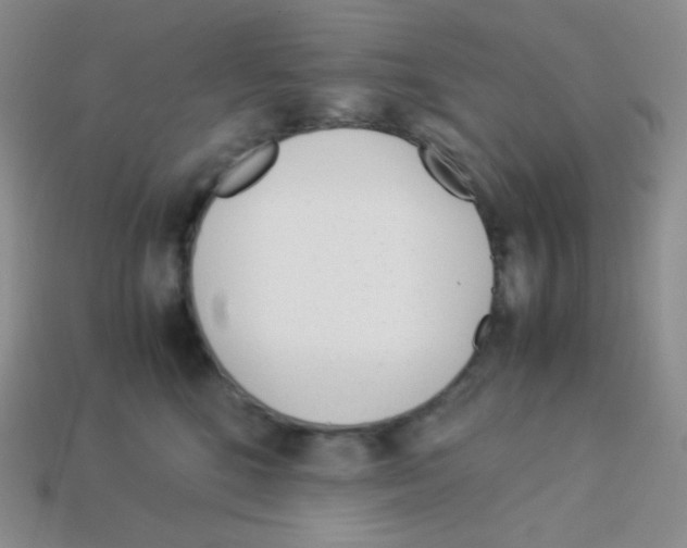 X0000113040520200910081213