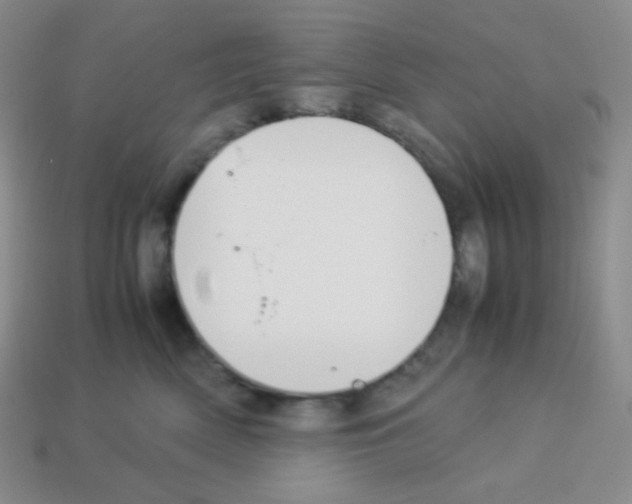 X0000113040522200910081213