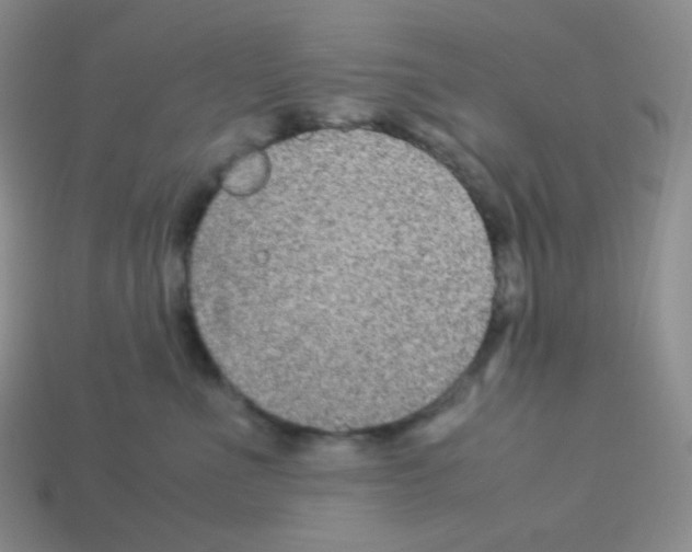 X0000113040523200910081213