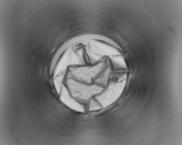 X0000113040524200910081213