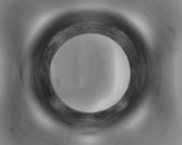 X0000113040526200910081213