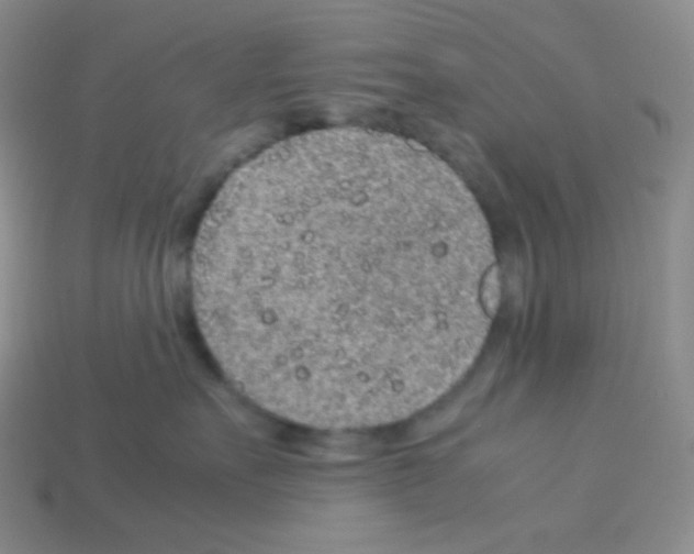 X0000113040527200910081213