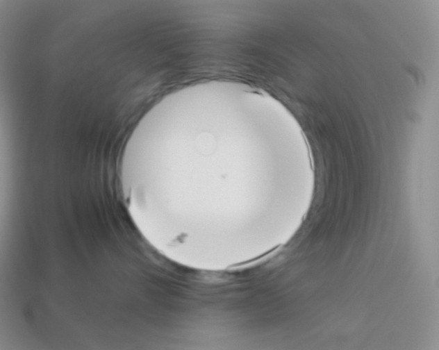 X0000113040528200910081213