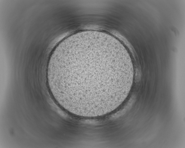 X0000113040529200910081213
