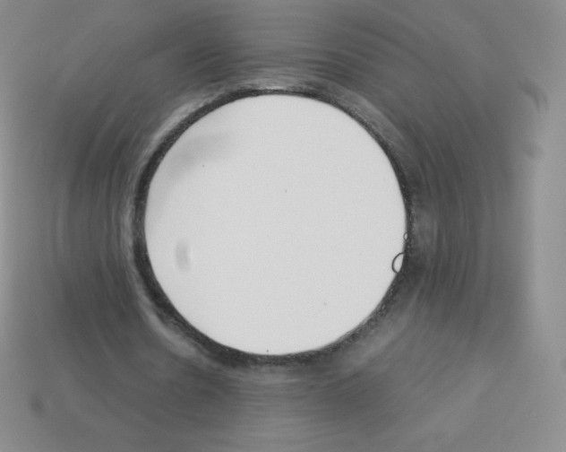 X0000113040530200910081213
