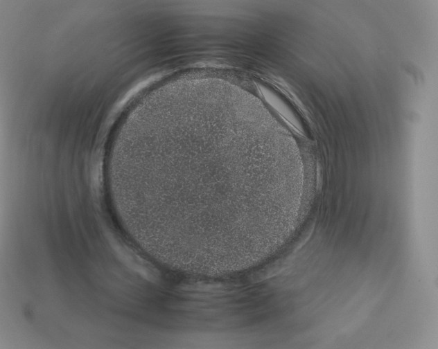 X0000113040531200910081213